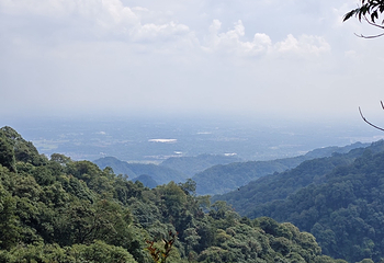 青城山第 330 张图片