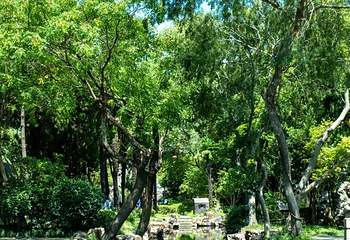 朱家角古镇景区第 176 张图片
