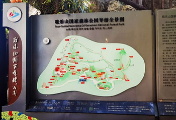 歌乐山国家森林公园第 85 张图片
