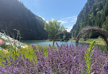 达古冰川风景名胜区第 119 张图片
