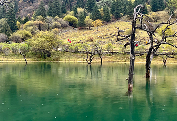 四姑娘山双桥沟景区第 171 张图片