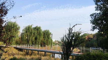 朱樱湖湿地公园第 1 张图片