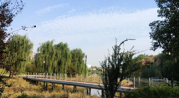 朱樱湖湿地公园