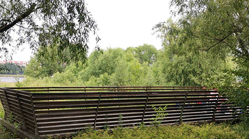 长白岛湿地公园-观景平台