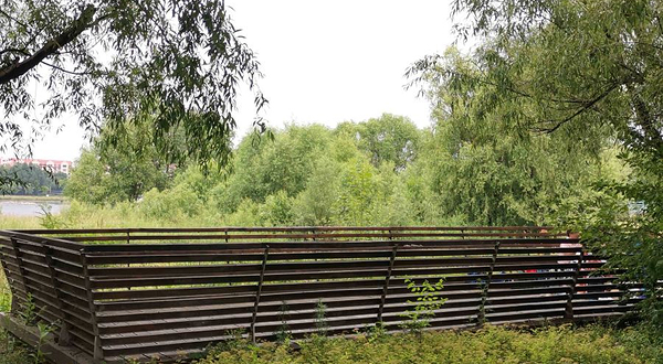 长白岛湿地公园-观景平台