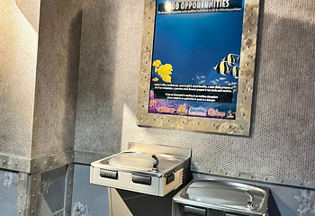 丹佛市区水族馆第 20 张图片