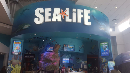 奥兰多海洋生物水族馆第 8 张图片