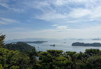 鹫羽山第 21 张图片