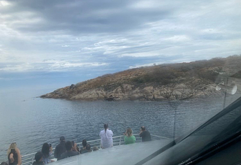Coles Bay Jetty第 16 张图片
