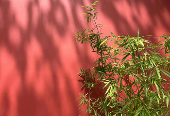 武侯祠第 77 张图片