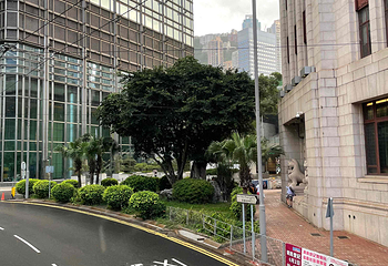 香港电车叮叮车第 24 张图片
