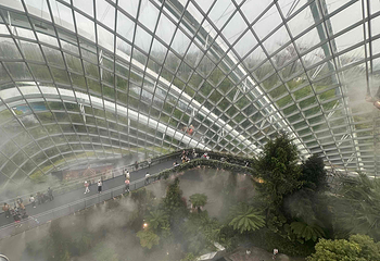 新加坡滨海湾花园第 242 张图片