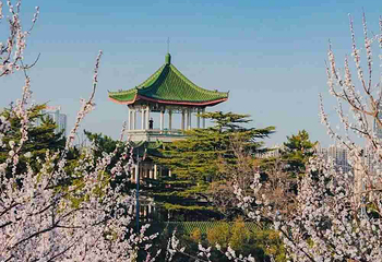 南山公园第 12 张图片