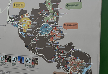 成都大熊猫繁育研究基地第 780 张图片
