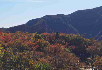 坡峰岭第 54 张图片