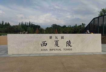 西夏陵第 75 张图片