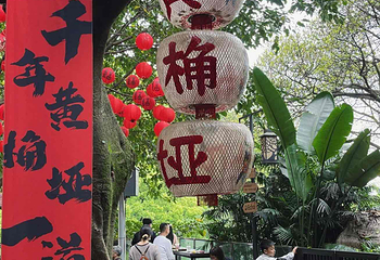 黄葛古道第 11 张图片