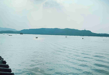 西湖游船第 66 张图片