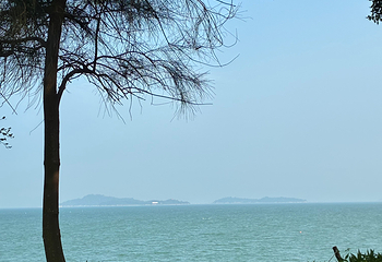 白城沙滩第 48 张图片