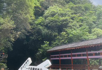 巴山大峡谷第 98 张图片