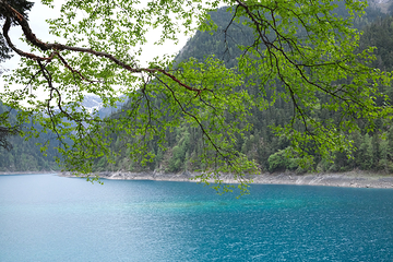 九寨沟风景区第 181 张图片