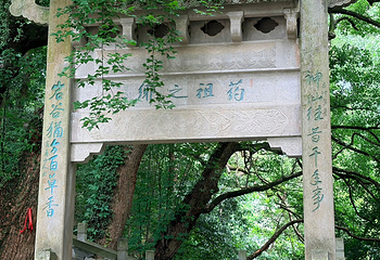 桐君山第 28 张图片