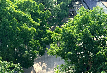 鹅岭公园第 136 张图片