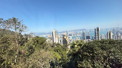 太平山顶第 137 张图片