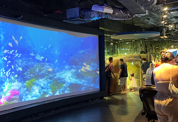 吉隆坡城中城水族馆第 68 张图片