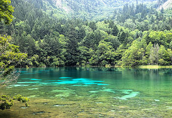 九寨沟风景区第 192 张图片