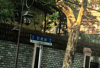 巨鹿路第 38 张图片