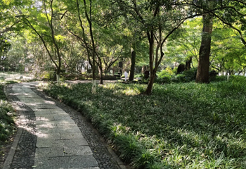 灵隐飞来峰景区第 206 张图片