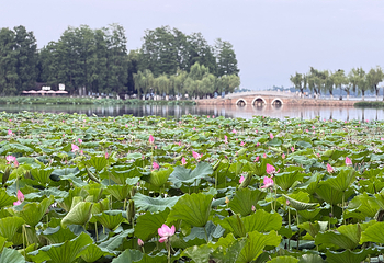 东湖生态旅游风景区第 18 张图片