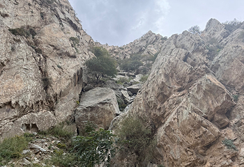 贺兰山岩画第 150 张图片