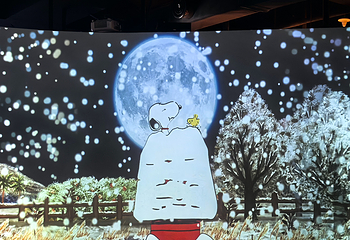 史努比乐园第 68 张图片