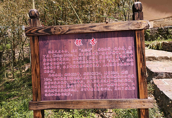 蝶舞清江·地心谷景区第 64 张图片