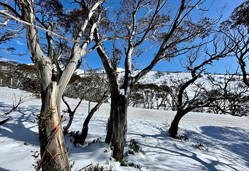 佩里舍滑雪度假村第 6 张图片