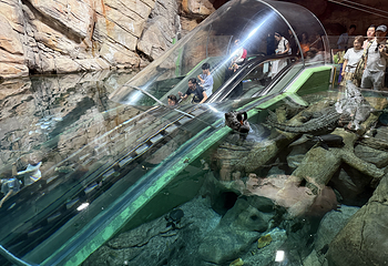 上海海洋水族馆第 152 张图片