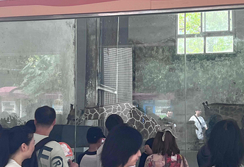 重庆动物园第 76 张图片