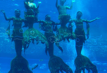 三亚亚特兰蒂斯失落的空间水族馆第 225 张图片