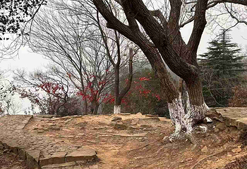 虞山景区第 31 张图片