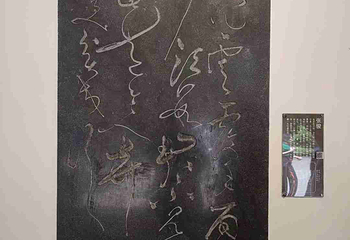 杜甫草堂第 424 张图片