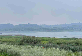 李庄文化旅游度假区第 55 张图片