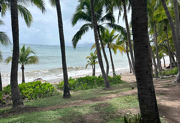 天涯海角第 345 张图片