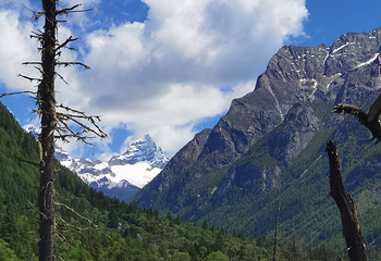 四姑娘山双桥沟景区第 145 张图片