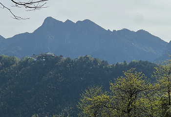 九华山风景区第 164 张图片