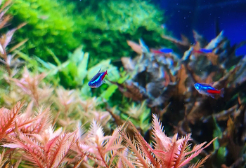 威海神游海洋世界第 45 张图片