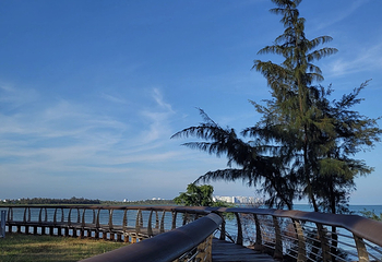 北海银滩景区第 78 张图片