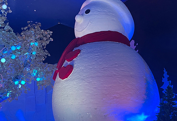 哈尔滨冰雪大世界第 464 张图片