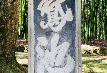 兰亭景区第 76 张图片